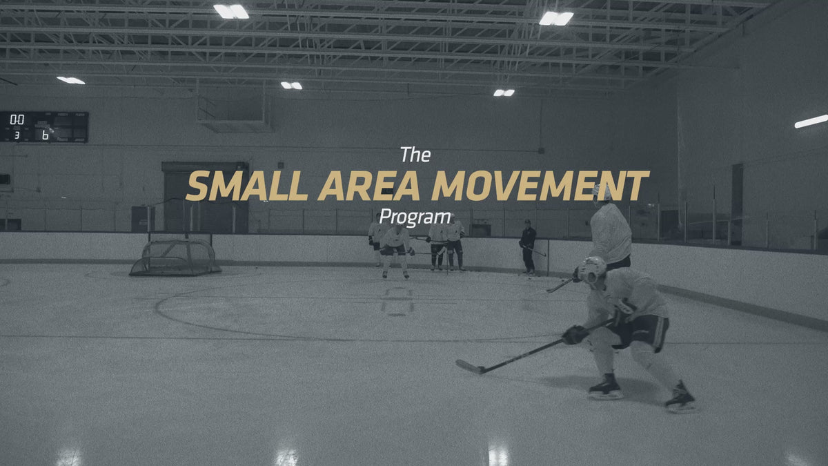 Load video: Small Area Movement Program
